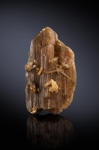 Eosphorite<br />Linópolis, Divino das Laranjeiras, Vale do Rio Doce, Minas Gerais, Brasil<br />3 x 1.5 x 5.5 cm / main crystal: 5.4 cm<br /> (Author: MIM Museum)