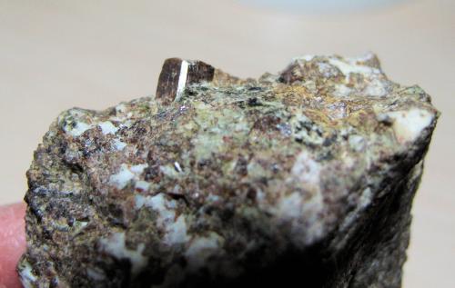 Vesubiana, Albita, Clorita ?<br />Tibidabo, Barcelona city, Collserola Mountains, Comarca Barcelonès, Barcelona, Catalonia / Catalunya, Spain<br />50 mm x 40 mm. Cristal: 5 mm.<br /> (Autor: Carles Millan)