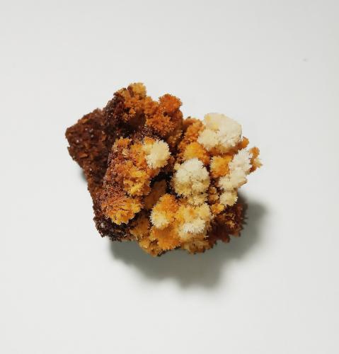 Yeso<br />San Platón Mine, Almonaster la Real, Comarca Sierra de Huelva, Huelva, Andalusia, Spain<br />4x3x3cm<br /> (Autor: cantero II)