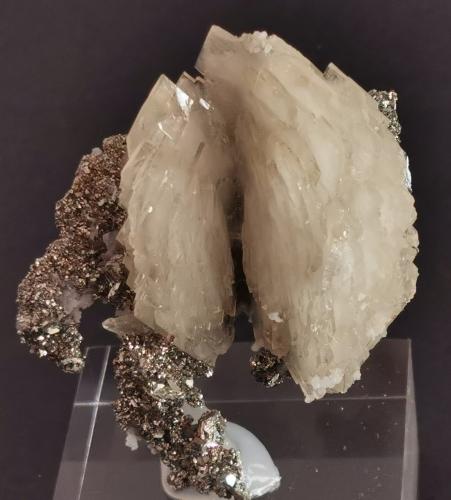 Baryte and Marcasite<br />Bou Nahas Mine, Oumjrane mining area, Alnif Commune, Tinghir Province, Drâa-Tafilalet Region, Morocco<br />4 cm x 5 cm<br /> (Author: Enrique Llorens)