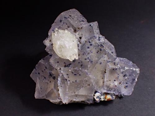 Fluorite, Calcite, Sphalerite, Pyrite, Dolomite<br />Stonewall Mine, Carthage, Central Tennessee Ba-F-Pb-Zn District, Smith County, Tennessee, USA<br />90 mm x 90 mmx 55 mm<br /> (Author: Don Lum)