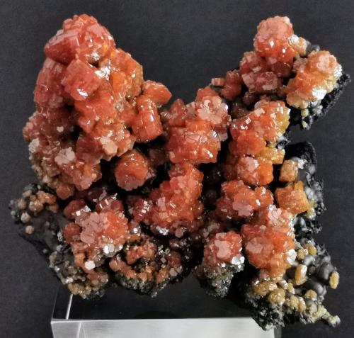 Vanadinite<br />Mibladen (distrito minero Mibladen), Midelt, Provincia Midelt, Región Drâa-Tafilalet, Marruecos<br />6 cm x 5cm<br /> (Author: Enrique Llorens)