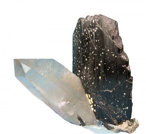 Ferberita, Cuarzo<br />Yaogangxian Mine, Yizhang, Chenzhou Prefecture, Hunan Province, China<br />80 mm x 50 mm. Ferberita: 73 mm. Cuarzo: 80 mm. Masa: 195 g.<br /> (Autor: Carles Millan)