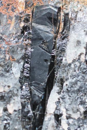 Foitita<br />Los Veneros area, Belvís de Monroy, Mancomunidad Campo Arañuelo, Cáceres, Extremadura, Spain<br />25 x 6 mm<br /> (Autor: José Luis Zamora)