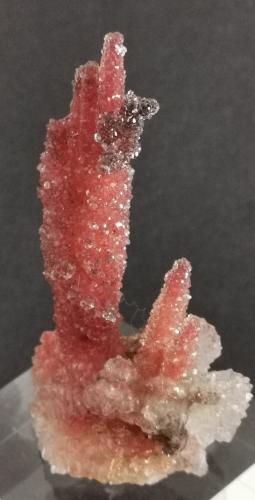 Quartz<br />Sidi Rahal, El Kelaâ des Sraghna Province, Marrakech-Safi Region, Morocco<br />3,5 cm x 5,5 cm<br /> (Author: Enrique Llorens)