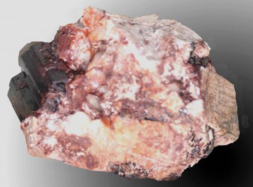 Microclina [Microcline], Chorlo [Schorl]<br />Cerro de la Santa, Belvís de Monroy, Comarca Campo Arañuelo, Cáceres, Extremadura, España<br />58 x 45 x 35 mm.<br /> (Autor: José Luis Zamora)