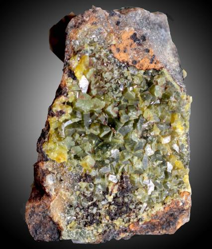 Piromorfita<br />Grupo Minero "Juan Antonio", Paraje Las Minillas, Garlitos, Comarca La Siberia, Badajoz, Extremadura, España<br />30 x 20 x 20 mm<br /> (Autor: José Luis Zamora)