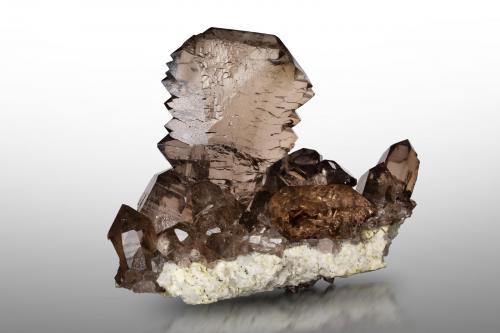 Quartz (variety smoky quartz)<br />Fedenstock, Fellital (Valle Felli), Valle Reuss, Uri, Suiza<br />13 x 9 x 11 cm / main crystal: 10.3 cm<br /> (Author: MIM Museum)