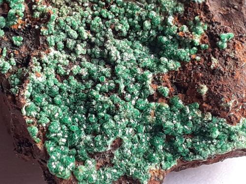 Olivenite<br />Kamariza Mines, Agios Konstantinos, Lavrion Mining District, Attikí (Attica) Prefecture, Greece<br />3,5 x 3,5 cm<br /> (Author: Volkmar Stingl)