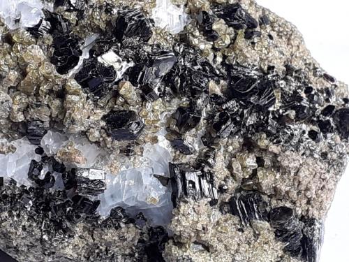 Augite (variety fassaite), Phlogopite<br />Vedretta della Miniera, Val Zebrù, Valfurva, Sondrio, Lombardia, Italia, Italy<br />6,5 x 4 cm<br /> (Author: Volkmar Stingl)