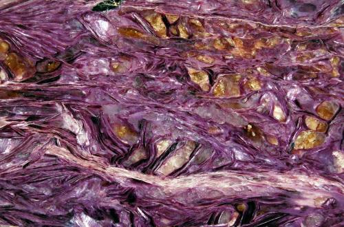 Charoite<br />Chara and Tokko rivers confluence, Macizo Murunskii, Murunskii Massif, Sakha Republic (Yakutia), Russia<br />10.0 x 9.6 cm<br /> (Author: Michael Shaw)