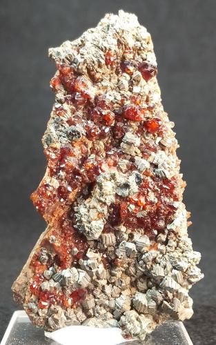 Grossularia [Grossular] (variedad hessonita) y Clinocloro [Clinochlore]<br />Bellecombe, Châtillon, Valle de Aosta (Val d'Aosta), Italia<br />6 x 3 cm.<br /> (Autor: Felipe Abolafia)