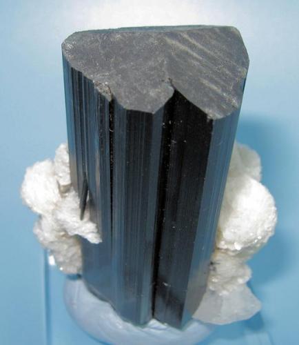 Tourmaline (schorl), albite
Shengus, Haramosh Mts., Skardu District, Gilgit-Baltistan, Pakistan
56 mm x 42 mm

Rear view (Author: Carles Millan)