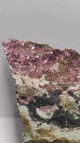 Eritrina [Erythrite]<br />Mina La Encontrada, Los Tejares, Ítrabo-Molvízar, Comarca Costa Granadina, Granada, Andalucía, España<br />10x7 cm<br /> (Autor: panchito28)