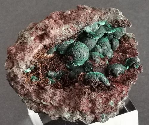 Malachite<br />Bleida Mine, Tinzouline, Zagora Province, Drâa-Tafilalet Region, Morocco<br />6,5 cm x 4,5 cm<br /> (Author: Enrique Llorens)