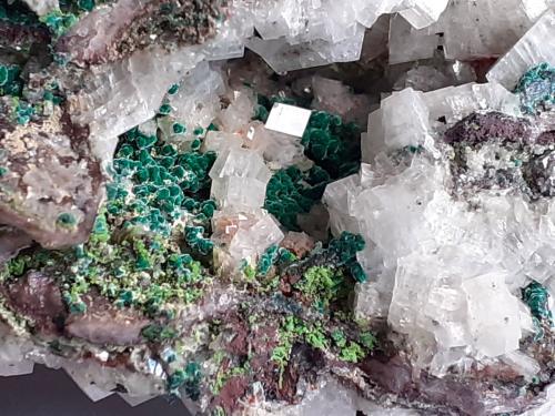 Calcite, Malachite, Duftite<br />Tsumeb Mine, Tsumeb, Otjikoto Region, Namibia<br />8 x 7 cm<br /> (Author: Volkmar Stingl)