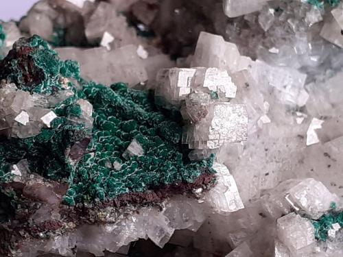 Calcite, Malachite, Duftite<br />Tsumeb Mine, Tsumeb, Otjikoto Region, Namibia<br />8 x 7 cm<br /> (Author: Volkmar Stingl)