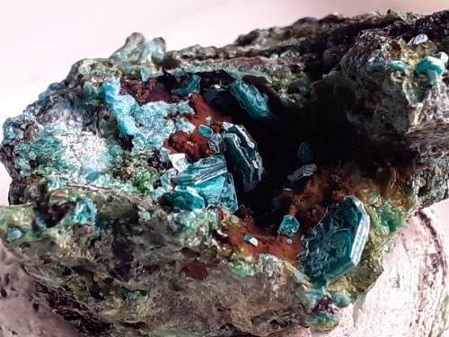 Chalcophyllite<br />Salsigne Mine, Salsigne, Mas-Cabardès, Carcassonne, Aude, Occitanie, France<br />2,5 x 1,5 cm<br /> (Author: Volkmar Stingl)