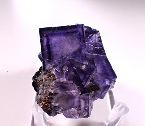 Fluorite, Sphalerite, Calcite, Pyrite<br />Elmwood Mine, Carthage, Central Tennessee Ba-F-Pb-Zn District, Smith County, Tennessee, USA<br />54 mm x 47 mm x 31 mm<br /> (Author: Don Lum)