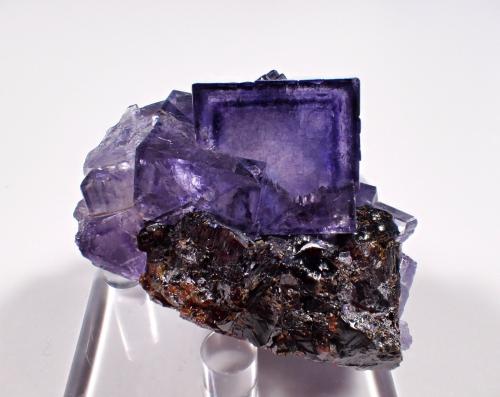 Fluorite, Sphalerite, Calcite, Pyrite<br />Elmwood Mine, Carthage, Central Tennessee Ba-F-Pb-Zn District, Smith County, Tennessee, USA<br />54 mm x 47 mm x 31 mm<br /> (Author: Don Lum)