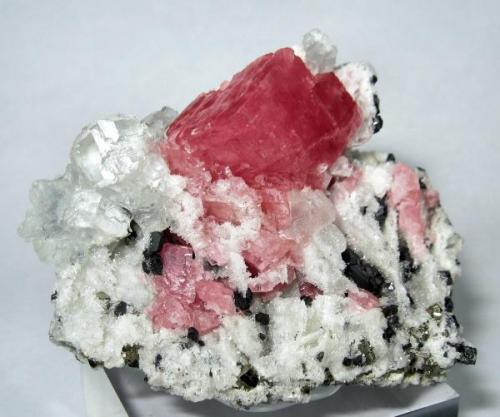 Rhodochrosite, fluorite, pyrite, sphalerite, dolomite
Wudong Mine, Liubao ("Babu"), Cangwu Co., Wuzhou, Guangxi Zhuang, China
60 mm x 46 mm (Author: Carles Millan)