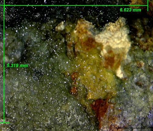 Escorodita [Scorodite]<br />Mina Feliz Encuentro, Sierra Almagrera, Cuevas del Almanzora, Comarca Levante Almeriense, Almería, Andalucía, España<br />6´62 x 5´31 mm.<br /> (Autor: Jesus Franquesa Baucells)