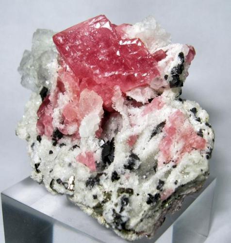 Rhodochrosite, fluorite, pyrite, sphalerite, dolomite
Wudong Mine, Liubao ("Babu"), Cangwu Co., Wuzhou, Guangxi Zhuang, China
60 mm x 46 mm (Author: Carles Millan)