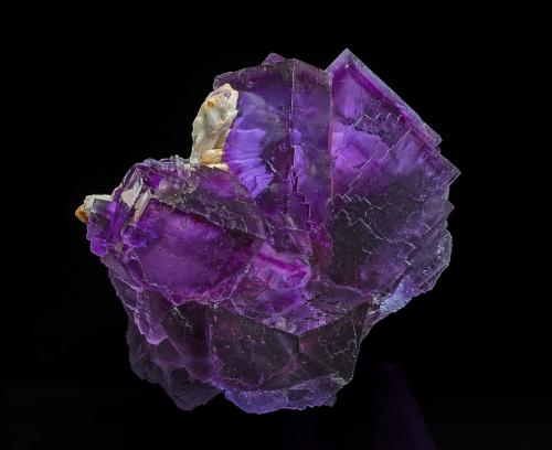 Fluorite, Barite<br />Los Cobayos Quarry (La Paredona), Berbes mining area, Los Cobayos, Berbes, Ribadesella, Comarca Oriente, Principality of Asturias (Asturias), Spain<br />8.9 x 7.3 cm<br /> (Author: am mizunaka)