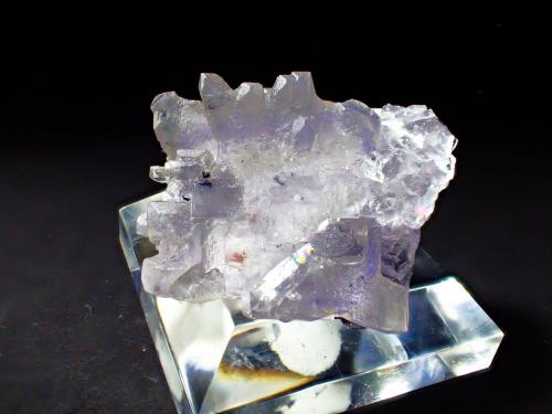 Fluorite, Sphalerite<br />Elmwood Mine, Carthage, Central Tennessee Ba-F-Pb-Zn District, Smith County, Tennessee, USA<br />36 mm x 32 mm<br /> (Author: Don Lum)