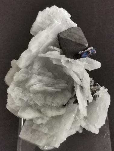 Galena on Baryte<br />Bou Nahas Mine, Oumjrane mining area, Alnif Commune, Tinghir Province, Drâa-Tafilalet Region, Morocco<br />4 cm x 5 cm<br /> (Author: Enrique Llorens)