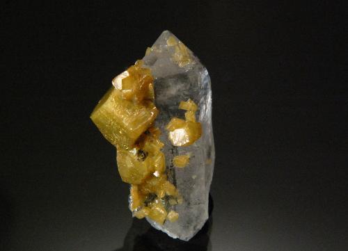 Siderite on Quartz<br />Muzo (distrito minero), Cinturón Esmeraldífero Occidental, Departamento Boyacá, Colombia<br />3.1 x 1.9 cm<br /> (Author: Michael Shaw)
