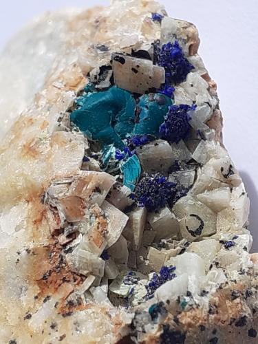 Azurite, Malachite, Dolomite<br />Ringenwechsel Mining District, Troi, District Schwaz, Inn Valley, North Tyrol, Tyrol/Tirol, Austria<br />FoV ca. 3 x 2 cm<br /> (Author: Volkmar Stingl)