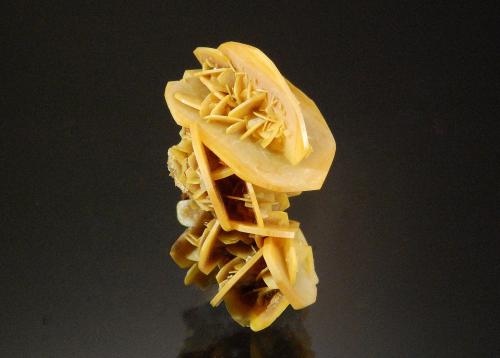 Wulfenite<br />Mina Stevenson-Bennett, Montes Organ, Distrito Organ, Condado Doña Ana, New Mexico, USA<br />2.6 x 1.5 cm<br /> (Author: Michael Shaw)