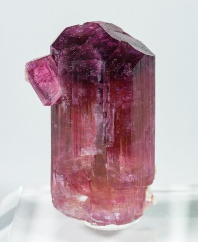 Elbaite (variety rubellite)<br />Beni Bouzra (Bni Bouzra), Chefchaouen Province, Tanger-Tetouan-Al Hoceima Region, Morocco<br />Specimen height 3 cm<br /> (Author: Tobi)