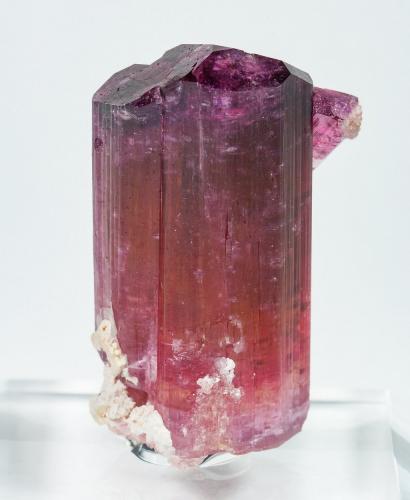 Elbaite (variety rubellite)<br />Beni Bouzra (Bni Bouzra), Provincia Chefchaouen, Región Tanger-Tetouan-Al Hoceima, Marruecos<br />Specimen height 3 cm<br /> (Author: Tobi)