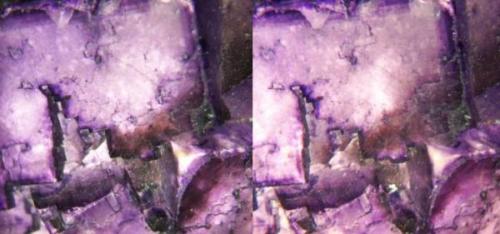 Fluorite, Mexico, 26x26x20mm, xx to 17mm edge, detail.
Stereo pair, front and back lighting, field of view about 15mm wide. (Author: Gerhard Niklasch)
