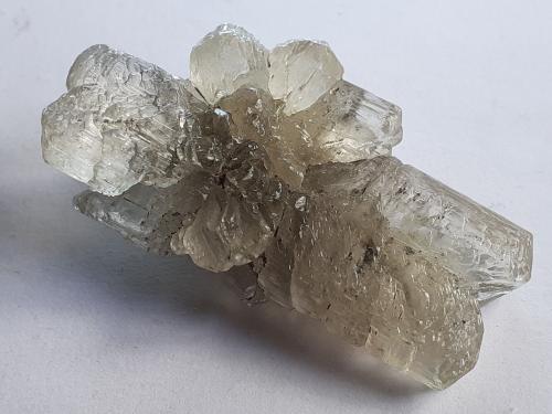 Gypsum (variety selenite)<br />Klein-Steimke Clay Pit, Königslutter am Elm, Helmstedt, Lower Saxony/Niedersachsen, Germany<br />4,5 x 2,5 cm<br /> (Author: Volkmar Stingl)