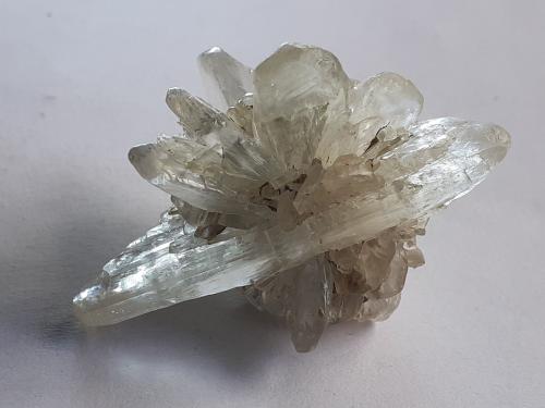 Gypsum (variety selenite)<br />Klein-Steimke Clay Pit, Königslutter am Elm, Helmstedt, Lower Saxony/Niedersachsen, Germany<br />4,5 x 3,5 cm<br /> (Author: Volkmar Stingl)