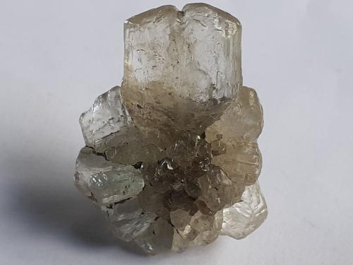 Gypsum (variety selenite)<br />Klein-Steimke Clay Pit, Königslutter am Elm, Helmstedt, Lower Saxony/Niedersachsen, Germany<br />3,3 x 2,5 cm<br /> (Author: Volkmar Stingl)