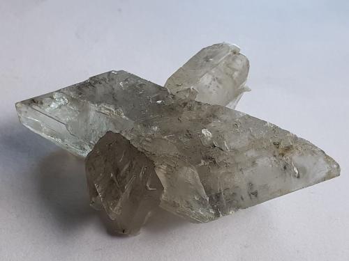 Gypsum (variety selenite)<br />Klein-Steimke Clay Pit, Königslutter am Elm, Helmstedt, Lower Saxony/Niedersachsen, Germany<br />4,5 x 3 cm<br /> (Author: Volkmar Stingl)