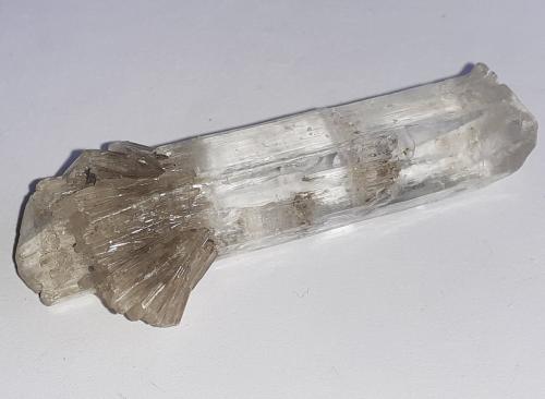 Gypsum (variety selenite)<br />Klein-Steimke Clay Pit, Königslutter am Elm, Helmstedt, Lower Saxony/Niedersachsen, Germany<br />5,5 x 1,5 cm<br /> (Author: Volkmar Stingl)