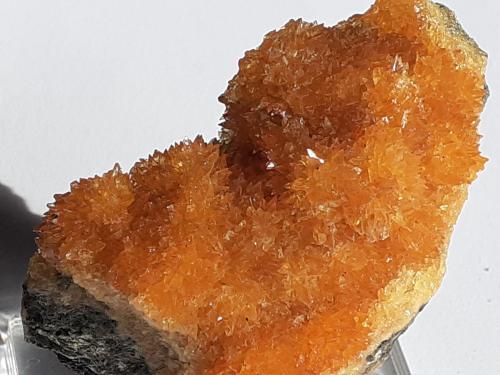 Calcite<br />Grabiszyce Górne, Leśna, Lubań, Lower Silesian Voivodeship, Poland<br />6 x 4 cm<br /> (Author: Volkmar Stingl)