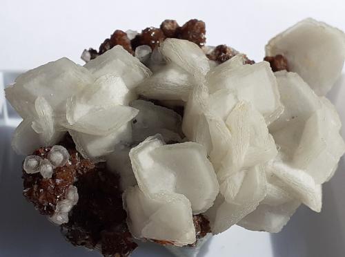 Calcite, Siderite, Goethite<br />Herja Mine, Chiuzbaia, Baia Sprie, Maramures, Romania<br />5 x 3,5 cm<br /> (Author: Volkmar Stingl)