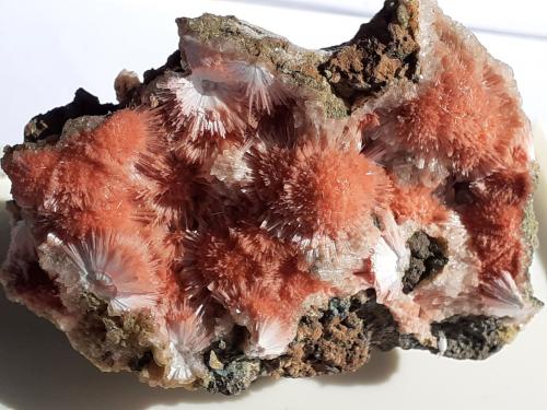 Mesolite on Thomsonite<br />Khadakwani, Khargone District, Madhya Pradesh, India<br />5 x 4 cm<br /> (Author: Volkmar Stingl)