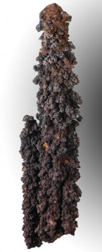 Calcofanita [Chalcophanite]<br />Corta San José, Sierra Minera de Cartagena-La Unión, Portmán, La Unión, Comarca Campo de Cartagena, Región de Murcia (Murcia), España<br />115 x 27 x 26 mm<br /> (Autor: José Luis Zamora)