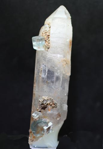 Fluorapatito, Cuarzo<br />Minas da Panasqueira, Aldeia de São Francisco de Assis, Covilhã, Castelo Branco, Cova da Beira, Centro, Portugal<br />85 x 22 x 22 mm<br /> (Autor: José Luis Zamora)