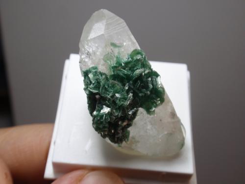 Moscovita (variedad fuchsita) sobre Cuarzo (variedad cristal de roca)<br />Malacacheta, Municipio Malacacheta, Vale do Mucuri, Minas Gerais, Brasil<br />20x45 mm<br /> (Autor: Ignacio)