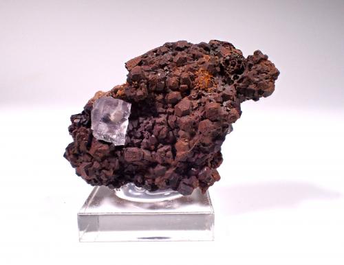 Fluorite<br />Ojuela Mine, La Campana vein, level 7, Mapimí, Municipio Mapimí, Durango, Mexico<br />45 mm x 31 mm x 21 mm<br /> (Author: Don Lum)