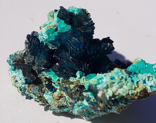 Theisite, Veszelyite<br />Dongchuan District, Kunming Prefecture, Yunnan Province, China<br />3 x 2,5 cm<br /> (Author: Volkmar Stingl)