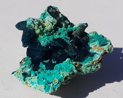 Theisite, Veszelyite<br />Dongchuan District, Kunming Prefecture, Yunnan Province, China<br />3 x 2,5 cm<br /> (Author: Volkmar Stingl)